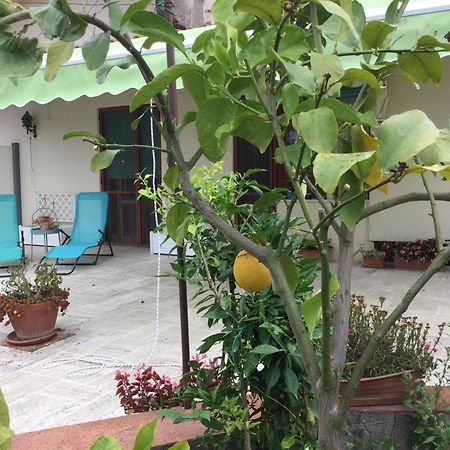 Oplontis' Garden - Holiday Apartment Near Pompeii Torre Annunziata Exteriör bild