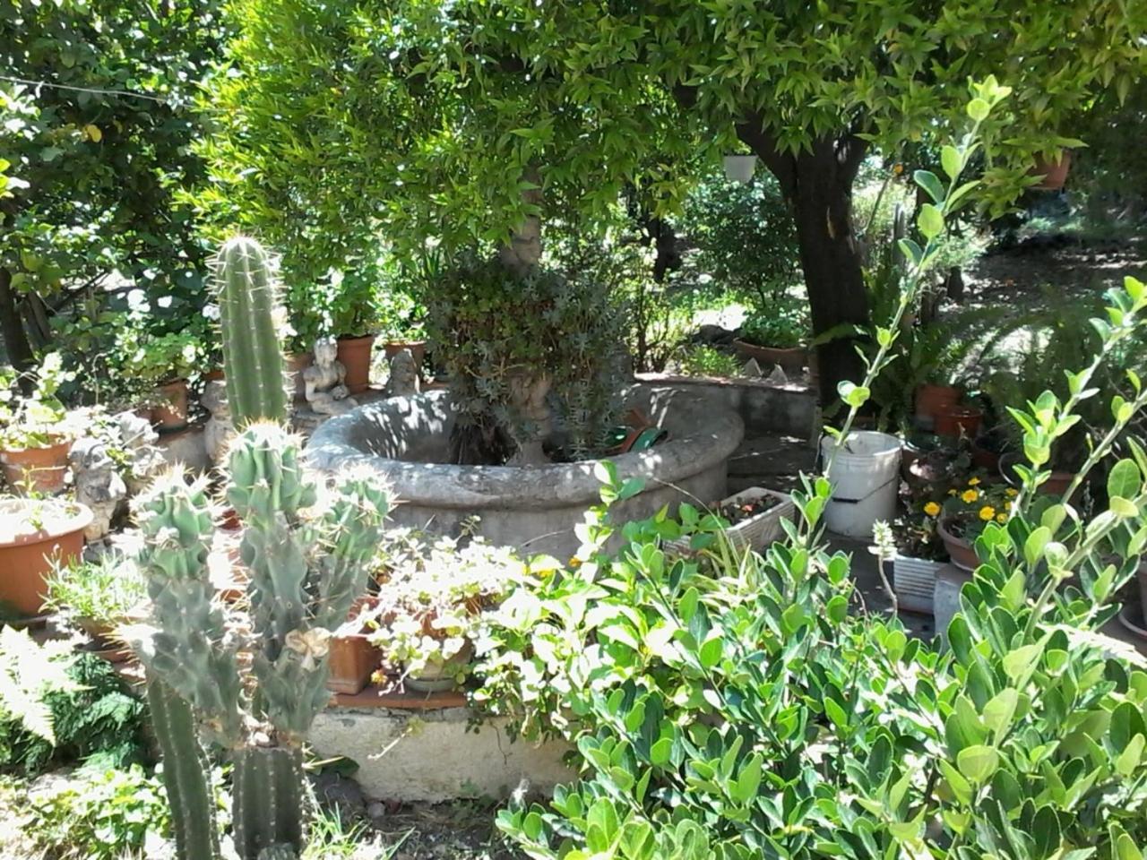 Oplontis' Garden - Holiday Apartment Near Pompeii Torre Annunziata Exteriör bild